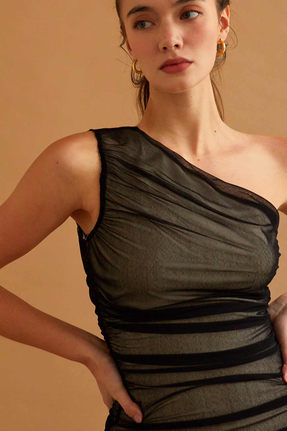 Arya Mesh Midi Dress