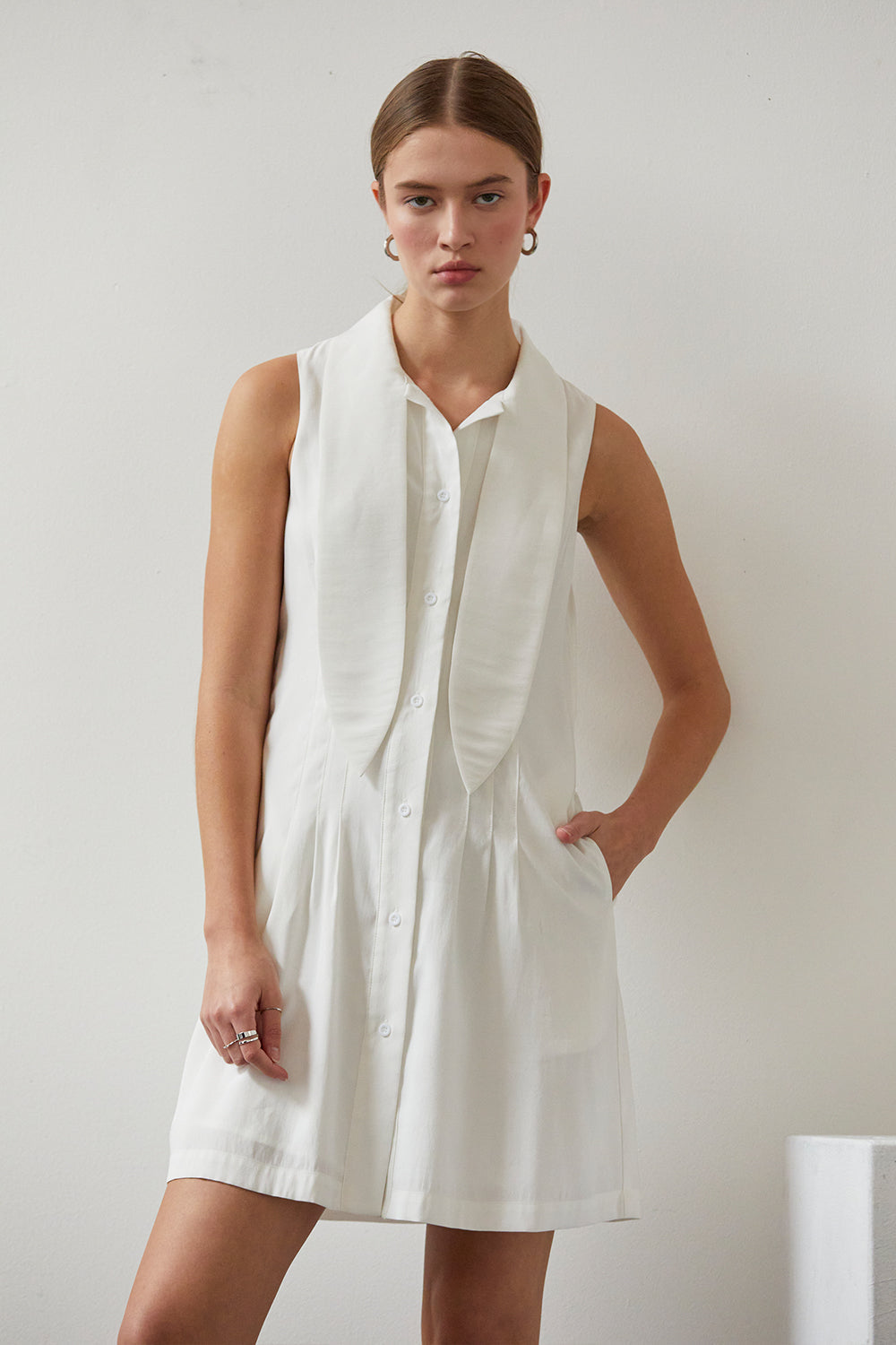 Joelene Neck Tie Dress