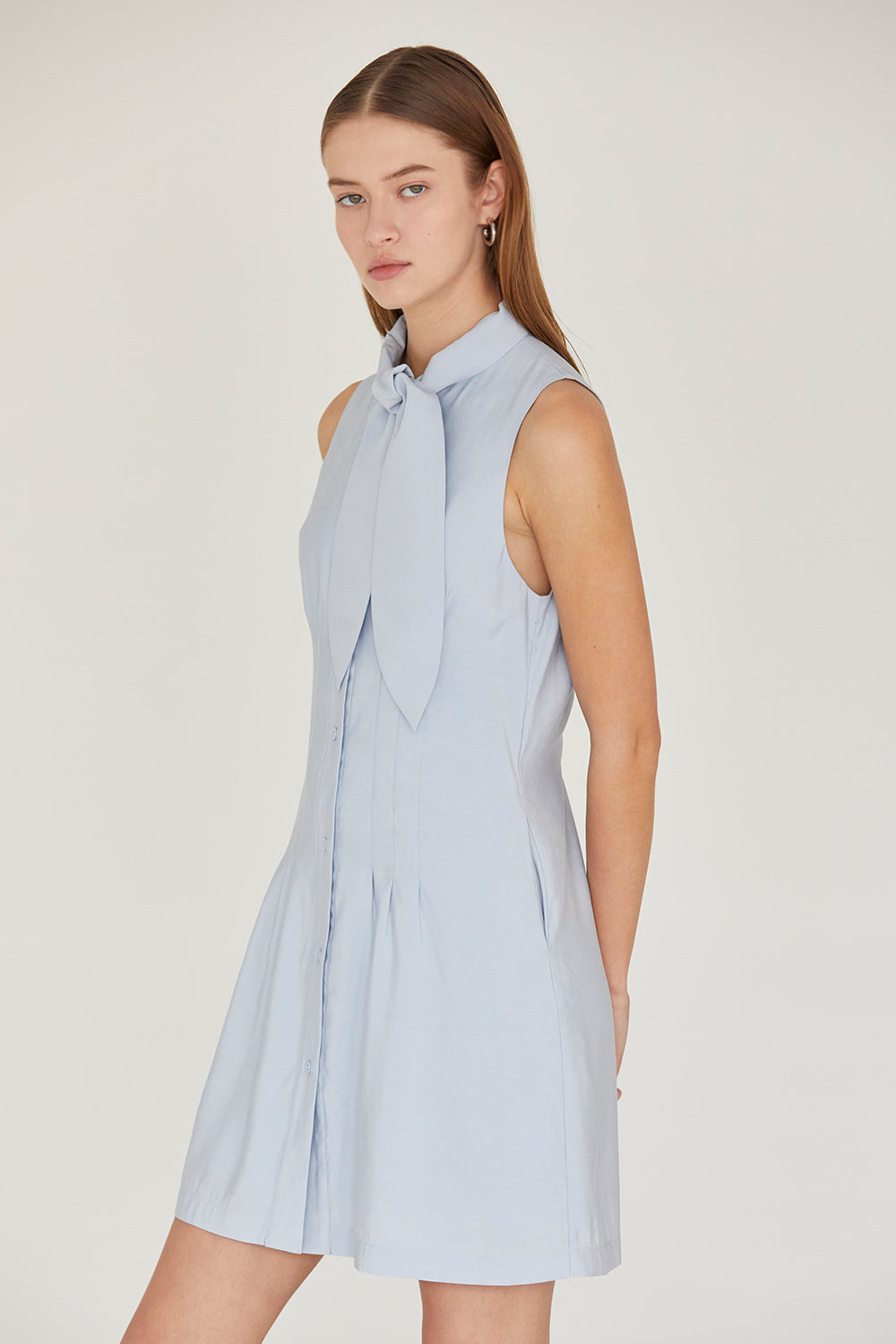 Joelene Neck Tie Dress