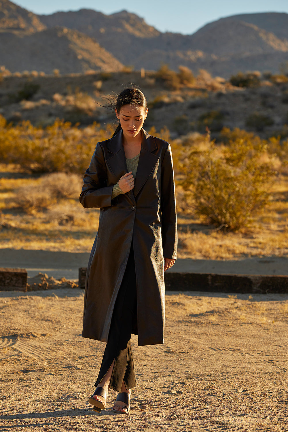 Evani Vegan Leather Coat