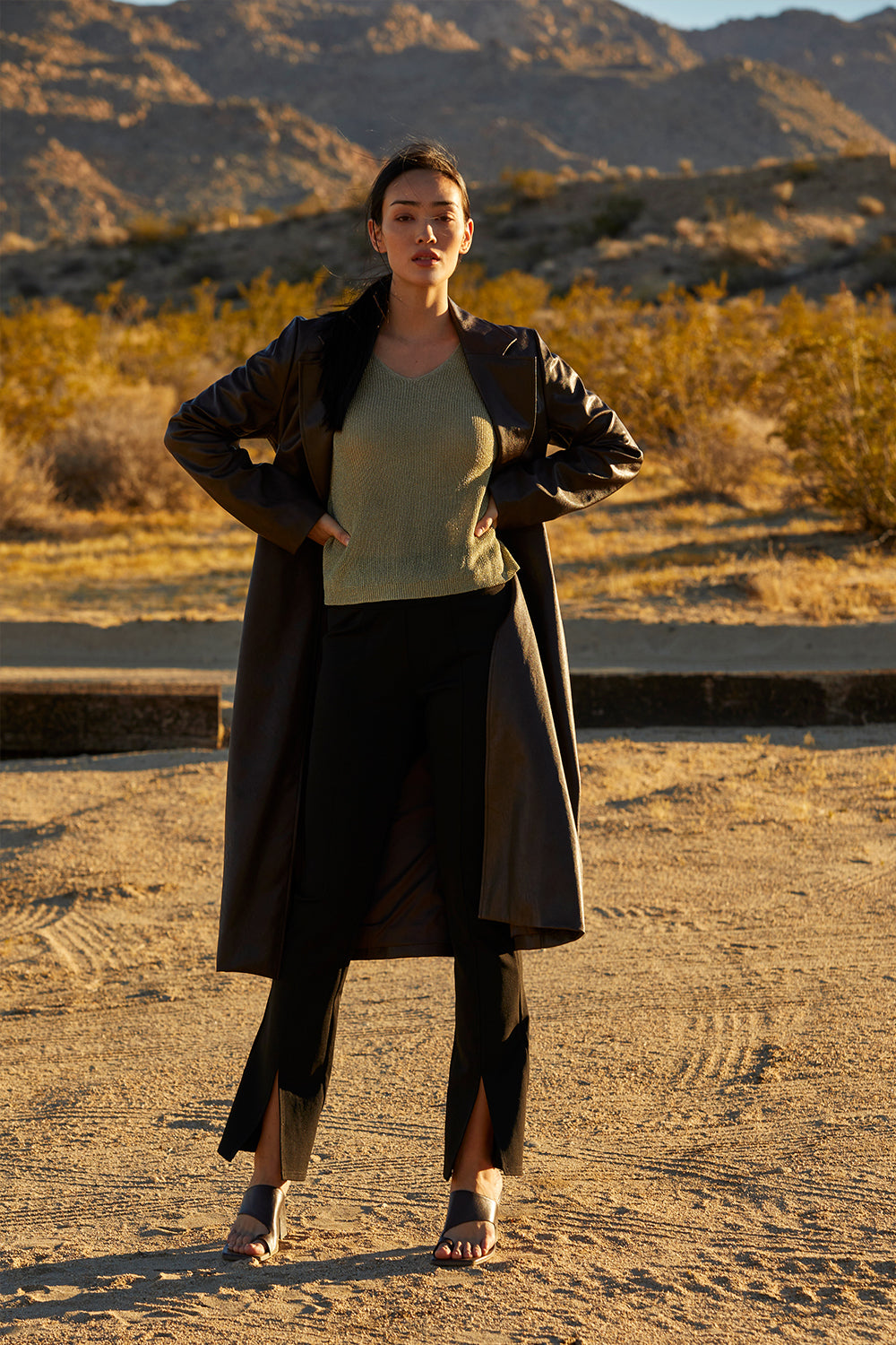 Evani Vegan Leather Coat