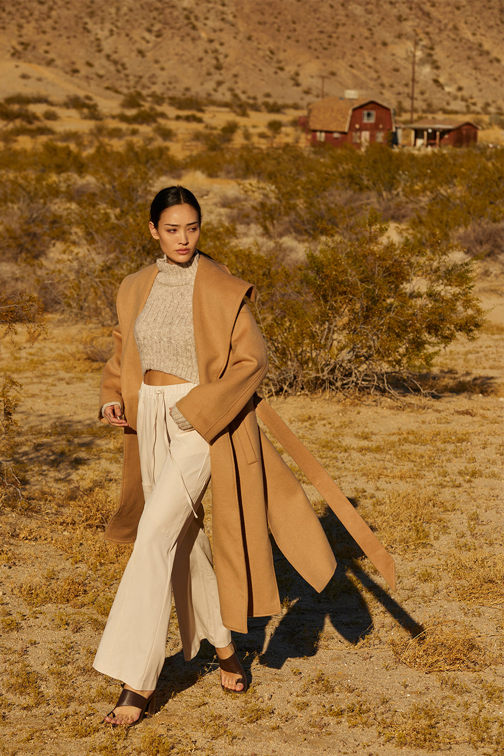 Sheldon Wool Shawl Coat