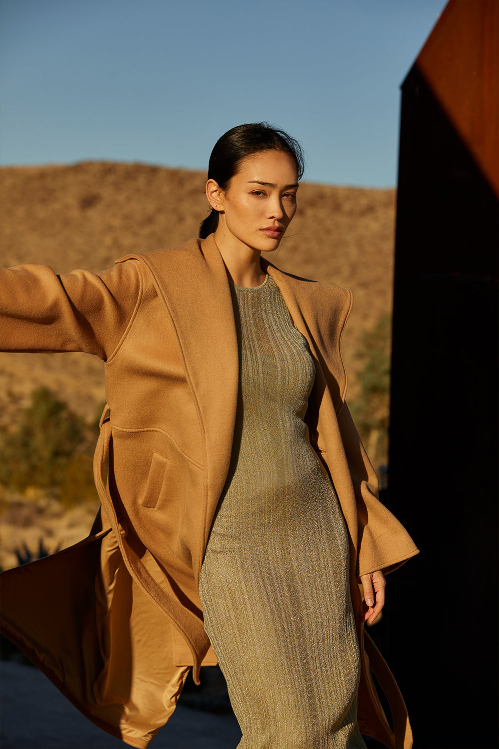 Sheldon Wool Shawl Coat