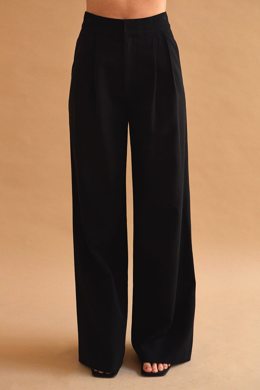 Shiloh Pleated Trousers