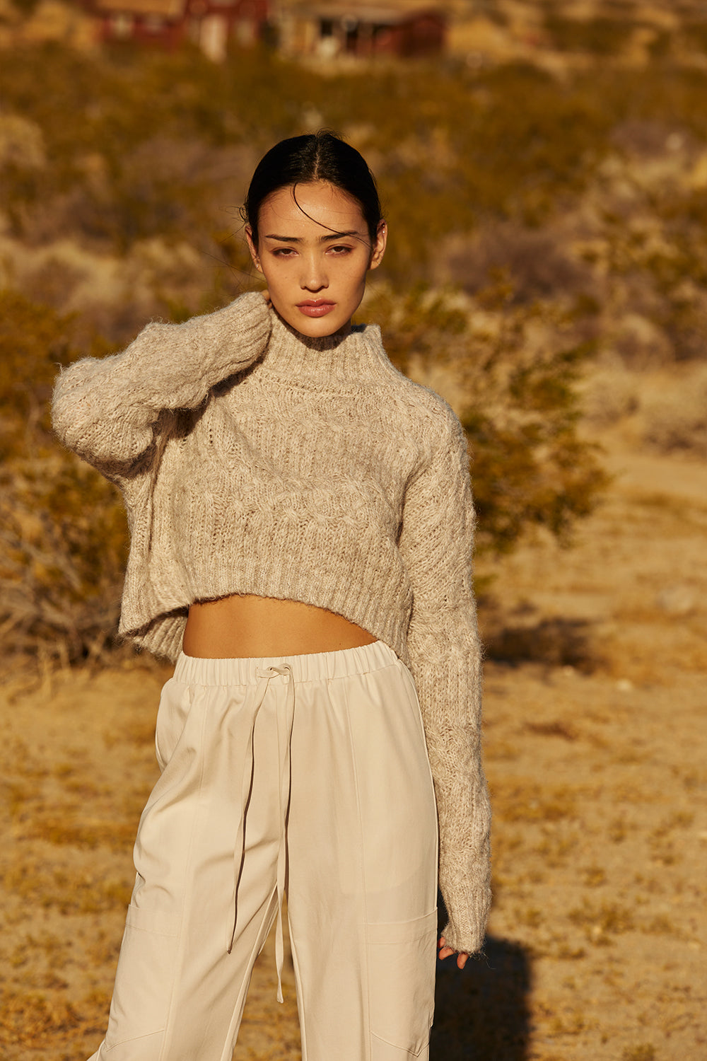 Lena Mock Neck Cropped Sweater